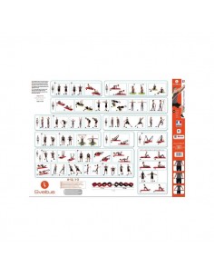 Póster Ejercicios Banda Elástica Sveltus Elastiband...