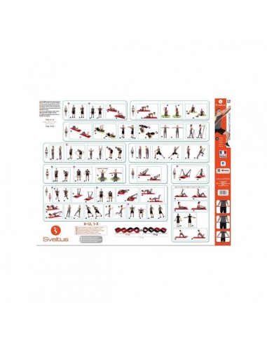 Póster Ejercicios Banda Elástica Sveltus...