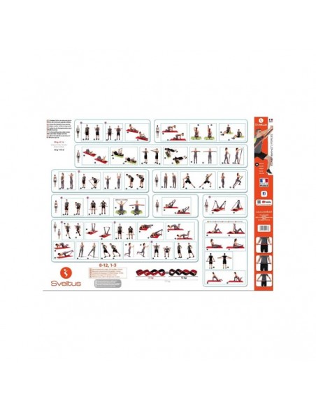 Póster Ejercicios Banda Elástica Sveltus Elastiband Poster 0178 3 Niveles