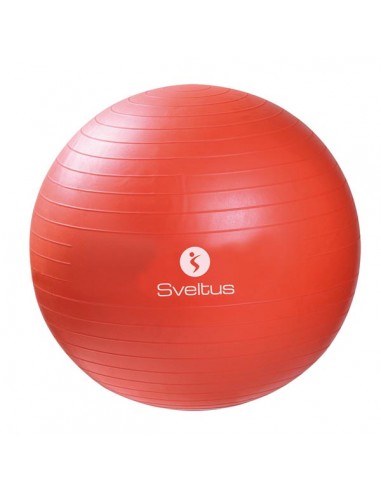Gymball Sveltus 0396 55cm Naranja