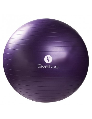 Gymball Sveltus 0445 75cm Lila