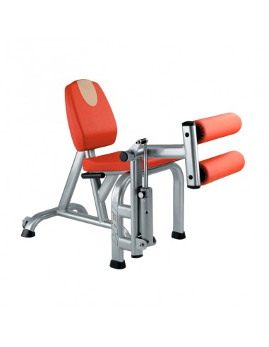 Extension de Cuadriceps y Femoral BH XT1010PC