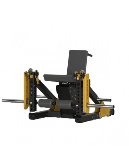 The Crazy Queens Leg Extension Kingsbox KB06MI-031