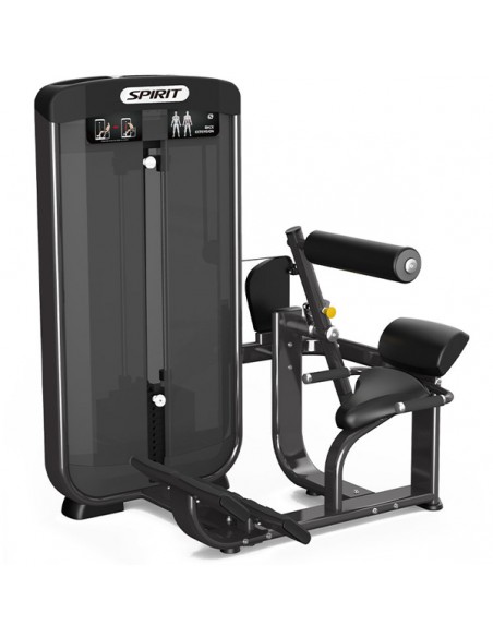 Máquina Back Extension Spirit Fitness Tren Superior SP-3503