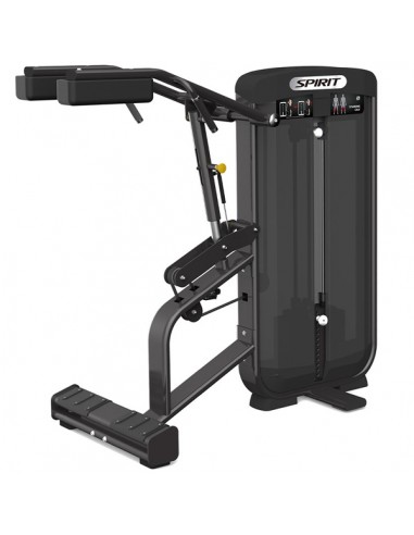 Máquina Standing Calf Spirit Fitness Tren...
