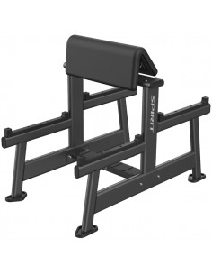 Banco Preacher Curl Spirit Fitness SP-7513