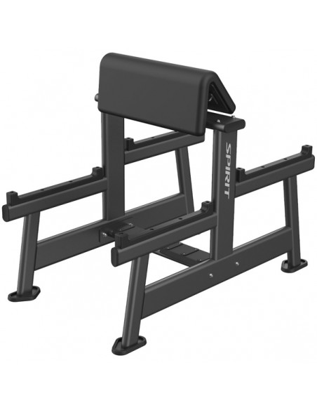Banco Preacher Curl Spirit Fitness SP-7513