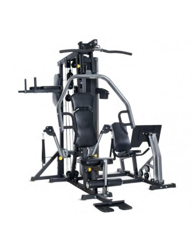 Multiestación Horizon Home Gym Torus 5