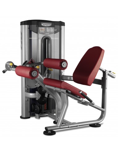 Extensión Curl de Piernas Dual BH TR Series L020