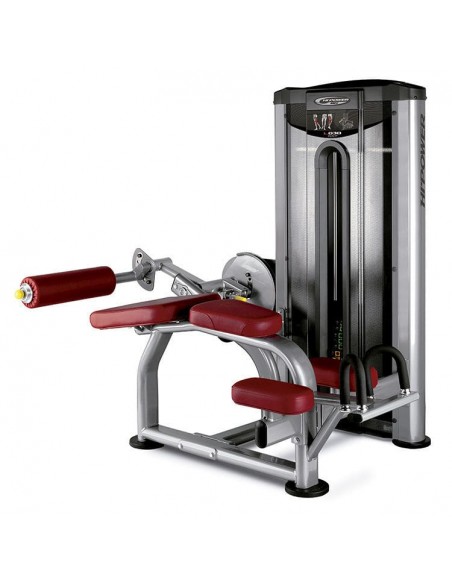 Femoral Tumbado BH TR Series L030