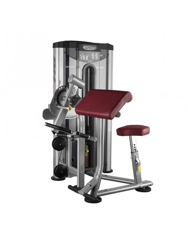 Biceps / Triceps Dual BH TR Series L140