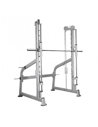 Multipower Con Contrapesos BH TR Series L350J