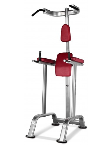 Abdominal Flexor + Dominadas BH TR Series L900