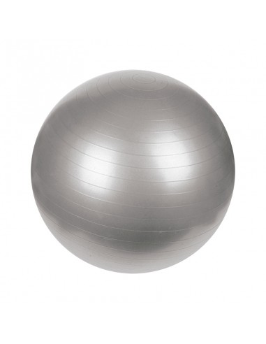 Gym Ball Mets Fitness PF-7020-55 Gris 55cm