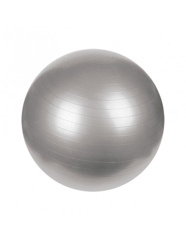 Gym Ball Mets Fitness PF-7020-75 Gris 75 cm