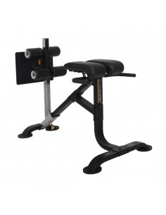 Banco Powertec Dual Hiperextension Crunch P-HC20