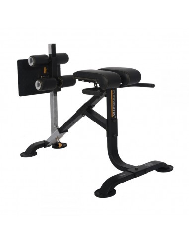 Banco Powertec Dual Hiperextension Crunch P-HC20